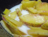 PeachesCream2010.jpg