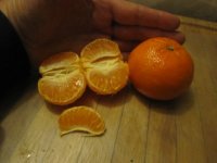 Clementines peeled.JPG