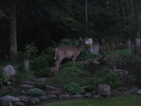 IMG_9055.jpg