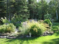 IMG_0151.jpg