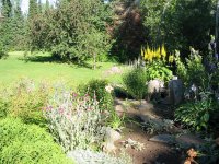 IMG_0156.jpg