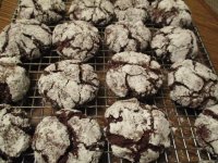 Chocolate crinkle, close.JPG