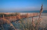 059-Alabama_Gulf_Shores_Fence.jpg