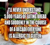 GLUTEN G_1527045633916.jpg