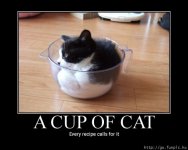 Cup of Cat.jpg