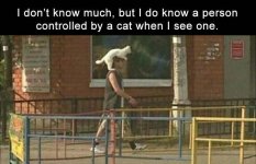 Cat 2 -funny-24-12.jpg