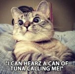 cat_tuna.jpg