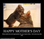 kitten_mothersday.jpg