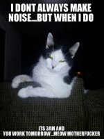 funny-cat-noise-late-night.jpg