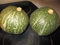 Kabocha squash.JPG