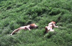 Zoo2010Lions1.jpg