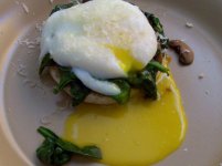 florentine benedict (3) - Copy.jpg