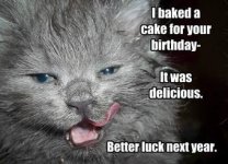 cat_cake.jpg