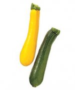 summer squash.jpg