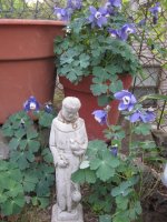 Columbine and St. Francis.JPG