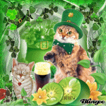 st. pat's cat 1.gif