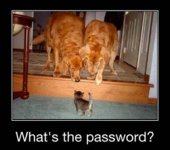 whats the password.jpg