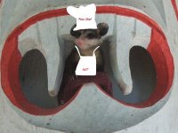 006.jpg