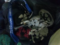 IMG_1285244.jpg