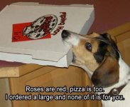 Doggie pizza 1 -funny-89-1.jpg