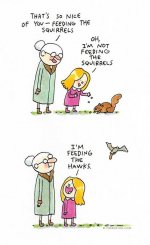 Funny Feeding-the-animals.jpg