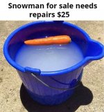 Funny Snowman-For-Sale.jpg