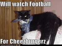 funny-pictures-the-big-game-get-your-snack-on.jpg