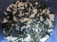 2 Cauliflower-Kale soup before processing.JPG