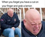 Lemon z-funny-124-1.jpg