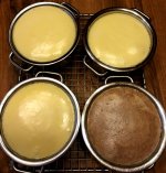 mini_cheesecake_081119_1_IMG_6092.JPG