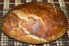 092012_no_knead_P1090581_zps71d70b73.jpg