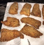 IMG_1378.jpg
