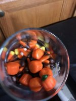 IMG_1581.jpg