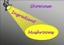 mushrooms_showcase.jpg