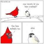 birds1.jpg