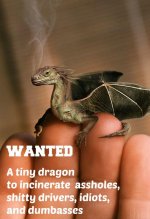 tiny_dragon.jpg