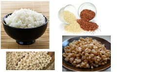 showcase_rice_grains.jpg