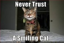 cat smiling.jpg