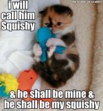 cat squishy.jpg