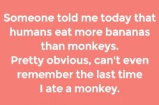 banana_monkey.jpg