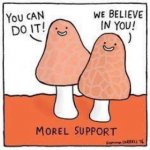 morel support.jpg