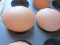 Baked egg debris.JPG