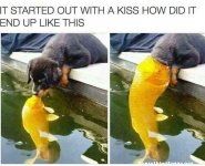 dog kiss.jpg