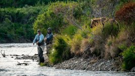 fishermen-bear-Kennedy-News.jpg