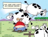 Cowsb.jpg
