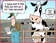 Cowsc.jpg