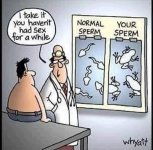 Doctors.jpg