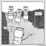 food10.jpg