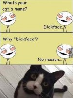 dick_face.jpg