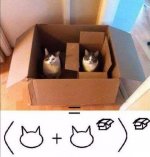 Cat math_1552443062036.jpg